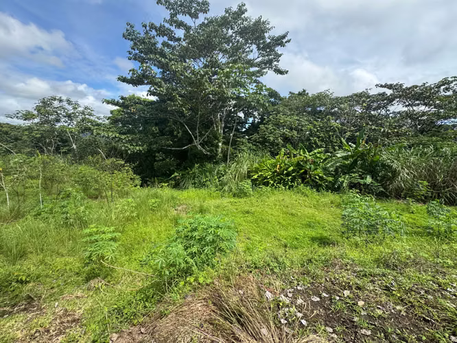VENTA DE TERRENO EN CHILIBRE CENTRO MCD25-3082