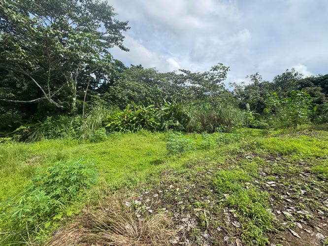 VENTA DE TERRENO EN CHILIBRE CENTRO MCD25-3082