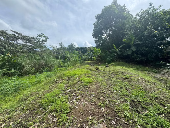 VENTA DE TERRENO EN CHILIBRE CENTRO MCD25-3082