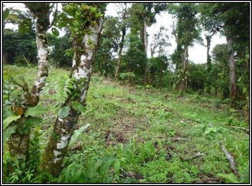 Venta de lote en La Rioca – Altos del María - Imagen 3