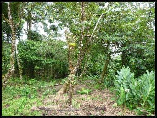 Venta de lote en La Rioca – Altos del María - Imagen 9