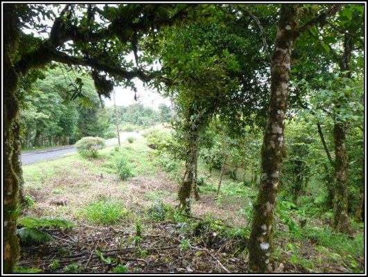 Venta de lote en La Rioca – Altos del María - Imagen 5