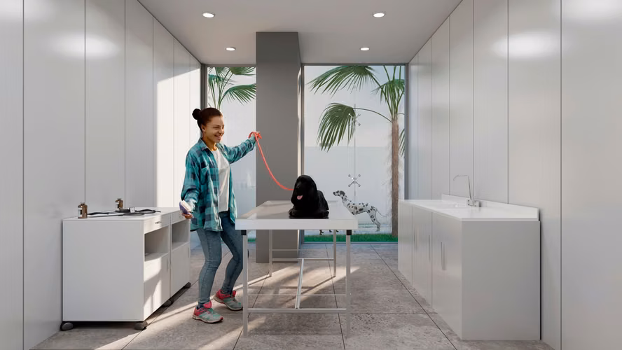 VIVE EN SAN FRANCISCO EN CONSTRUCCIÓN