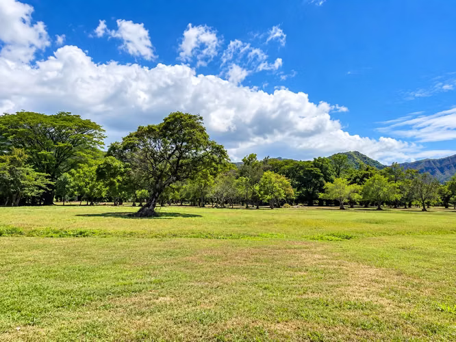Venta de Terreno en El Valle de Antón, 25,560m² - Imagen 7