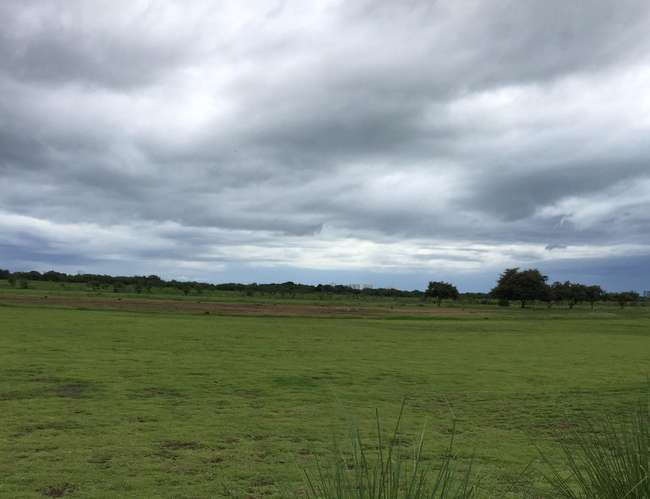 Terreno en Venta en Buenaventura 1,000,000 m² LR - Imagen 19