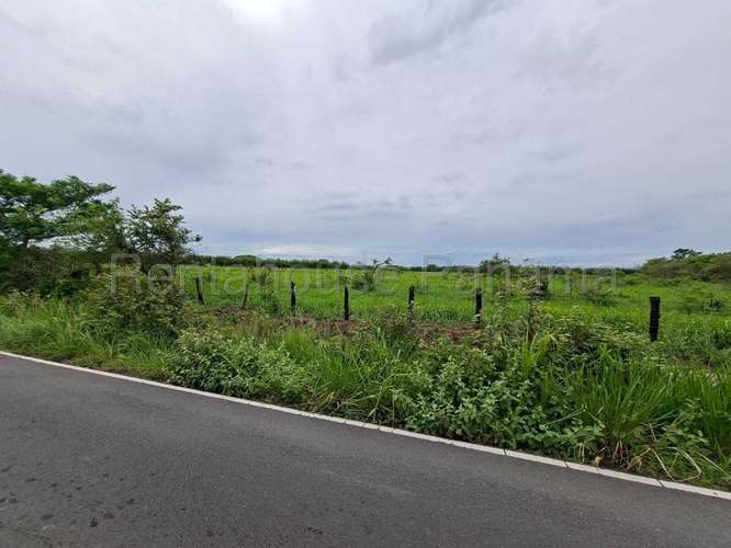 Terreno en Venta en Buenaventura 1,000,000 m² LR - Imagen 4