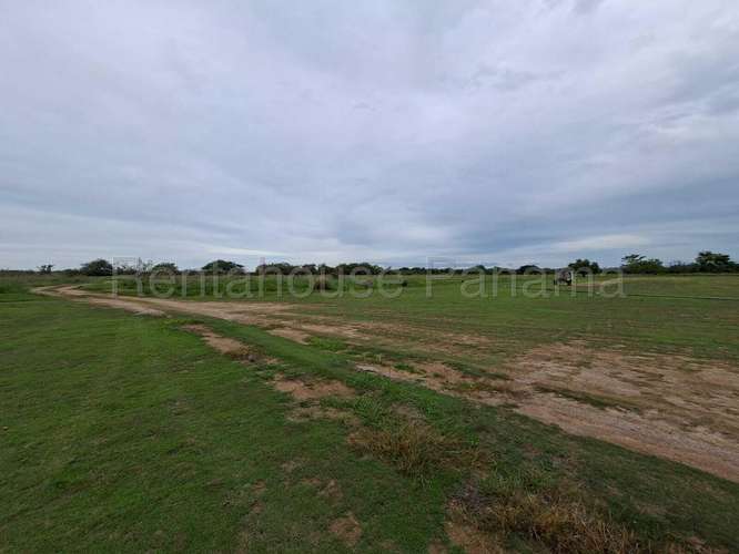 Terreno en Venta en Buenaventura 1,000,000 m² LR - Imagen 11