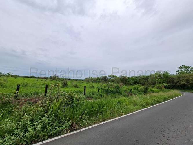 Terreno en Venta en Buenaventura 1,000,000 m² LR - Imagen 5