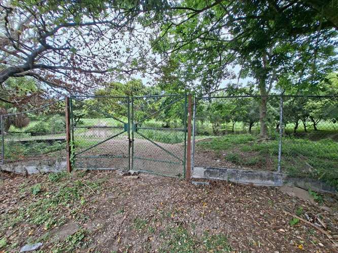 Terreno en Venta en Buenaventura 1,000,000 m² LR - Imagen 2