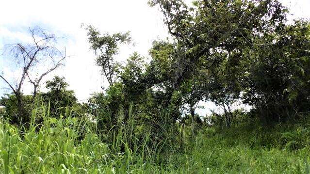 Terreno en Venta en San Carlos 351,393 m² LR - Imagen 8