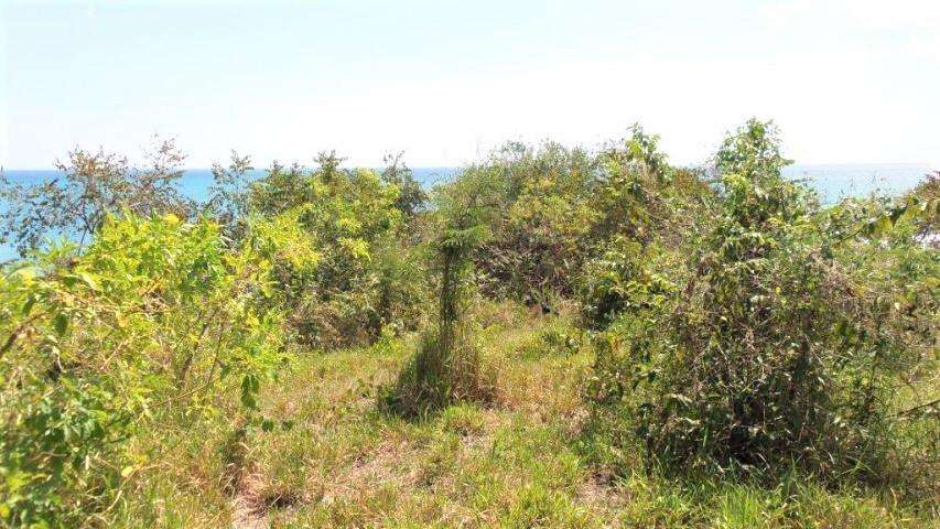 Terreno en Venta en San Carlos 351,393 m² LR - Imagen 6