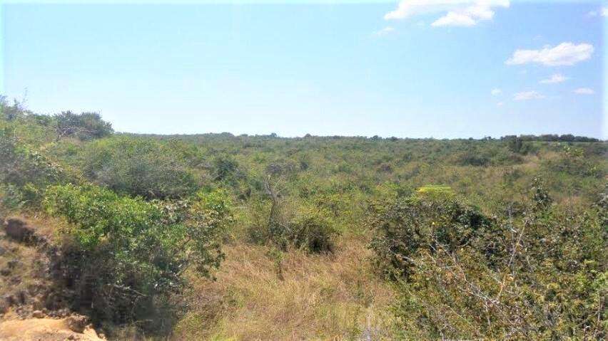 Terreno en Venta en San Carlos 351,393 m² LR - Imagen 5