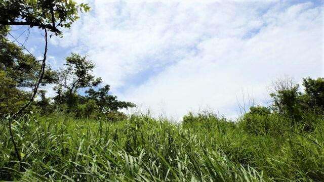 Terreno en Venta en San Carlos 351,393 m² LR - Imagen 4
