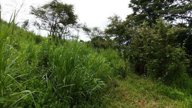 Terreno en Venta en San Carlos 351,393 m² LR - Imagen 9