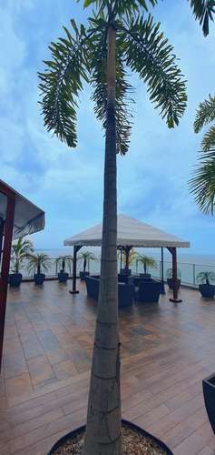 Oceanaire Punta Pacífica | 320 m² | Primera Línea de Mar | US$3,700 - Imagen 5