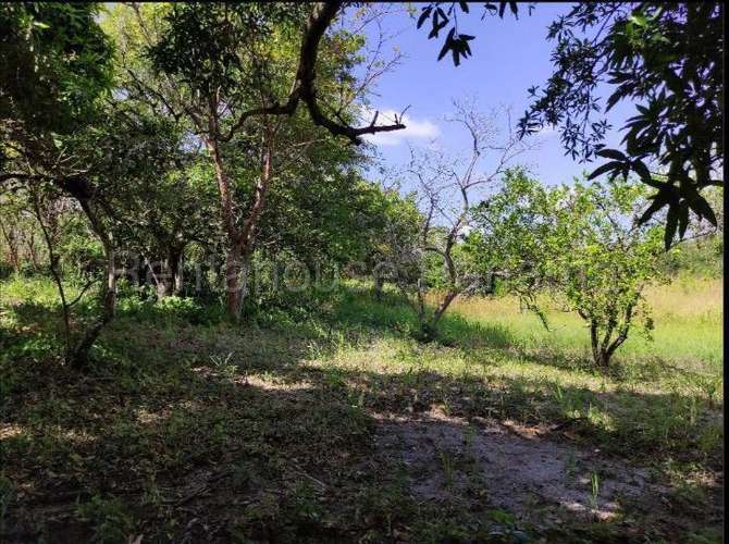 Venta de Terreno en San Carlos 26MGO6281