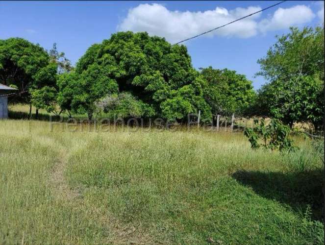 Venta de Terreno en San Carlos 26MGO6281