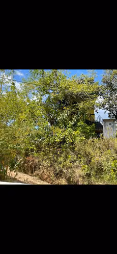 Oportunidad de Inversión en Torio, Veraguas | 837 m² | US$150,000