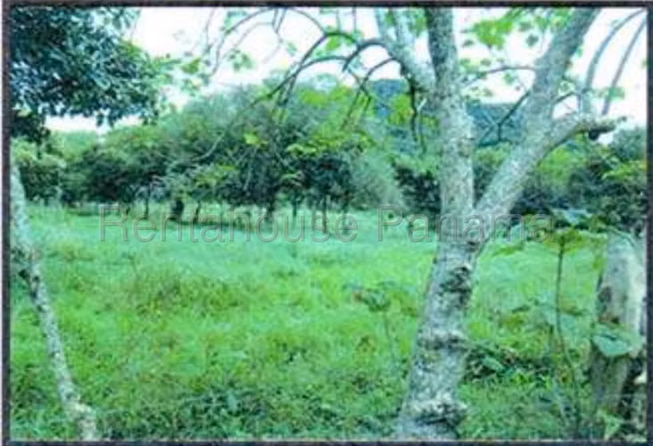 Venta de Terreno en Capira 27MGO2813