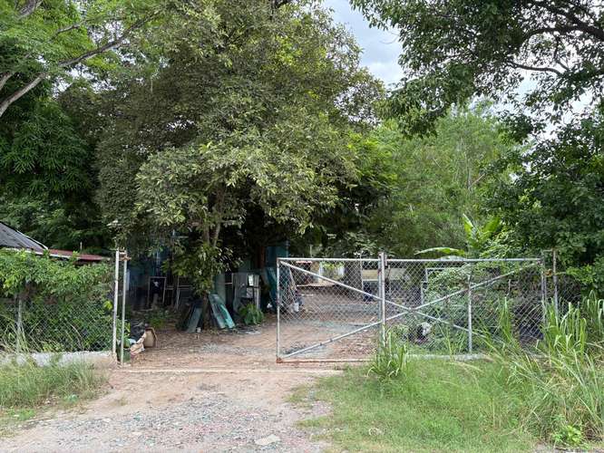 Se vende terreno frente a la Carretera Panamericana - Imagen 6