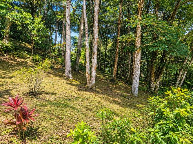 VENTA CASA EN ALTOS DEL MARIA AMPLIA 2700M2 DE TERRENO NEGOCIABLE CV - Imagen 10