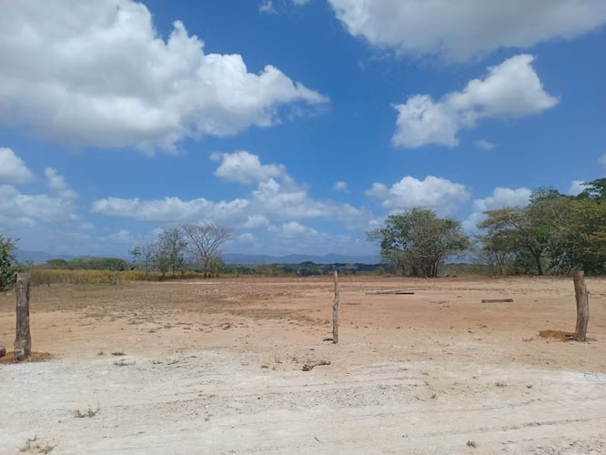 40 HECTÁREAS EN PACORA | AGUA + LUZ | VENTA O ALQUILER | GRAN POTENCIAL