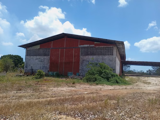 40 HECTÁREAS EN PACORA | AGUA + LUZ | VENTA O ALQUILER | GRAN POTENCIAL