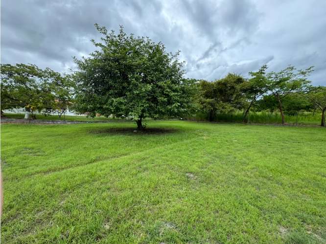 Se vende Lote en El Higo, San Carlos