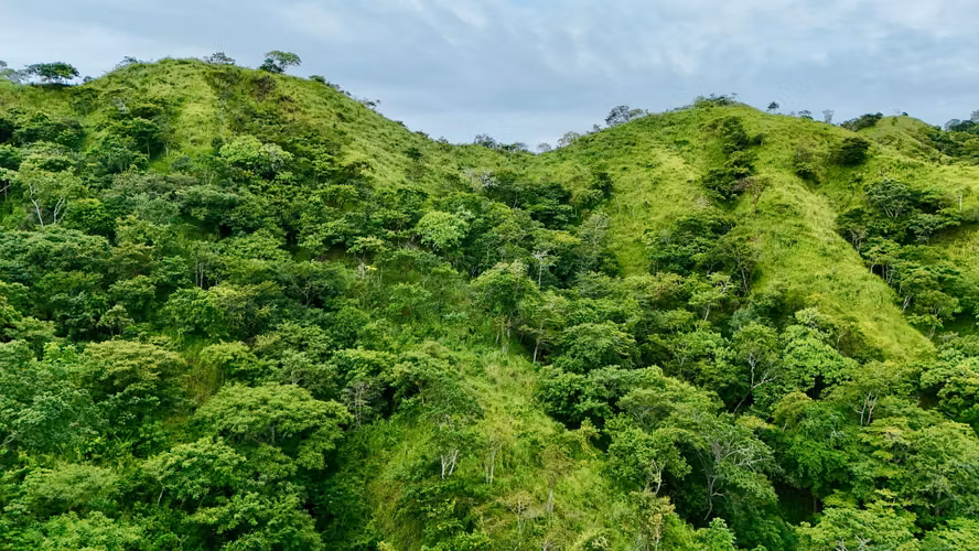 En venta Finca con vista al mar, Vía Playa Búcaro, Tonosí, Los Santos - Imagen 5