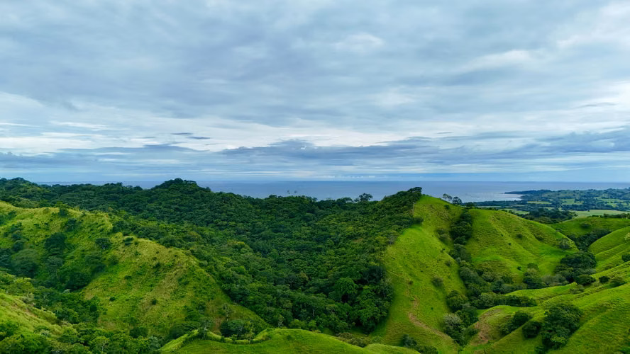 En venta Finca con vista al mar, Vía Playa Búcaro, Tonosí, Los Santos - Imagen 6