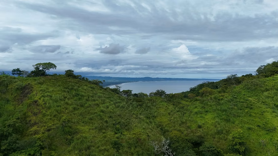 En venta Finca con vista al mar, Vía Playa Búcaro, Tonosí, Los Santos - Imagen 3