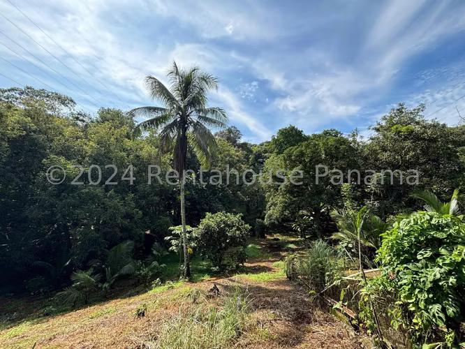 Venta de Terreno en Pedernal SN