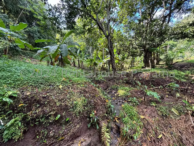 Venta de Terreno en Pedernal SN