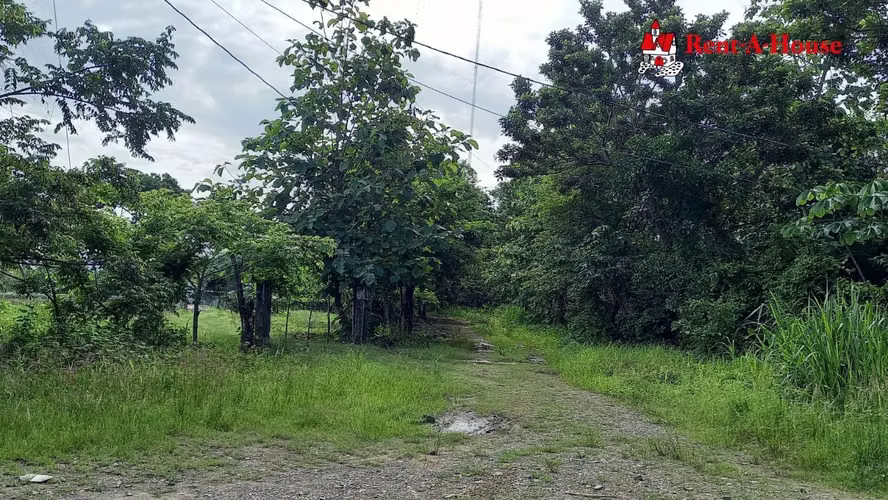 Lote en Venta de 25 HA en Pacora 24YCG5570 - Imagen 9