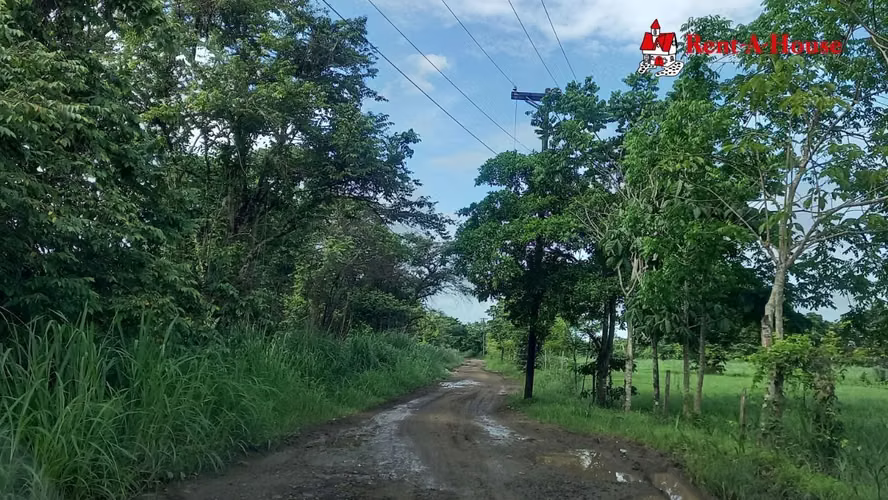 Lote en Venta de 25 HA en Pacora 24YCG5570 - Imagen 8