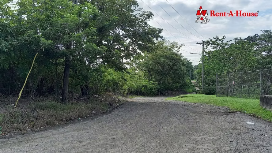 Lote en Venta de 25 HA en Pacora 24YCG5570 - Imagen 7