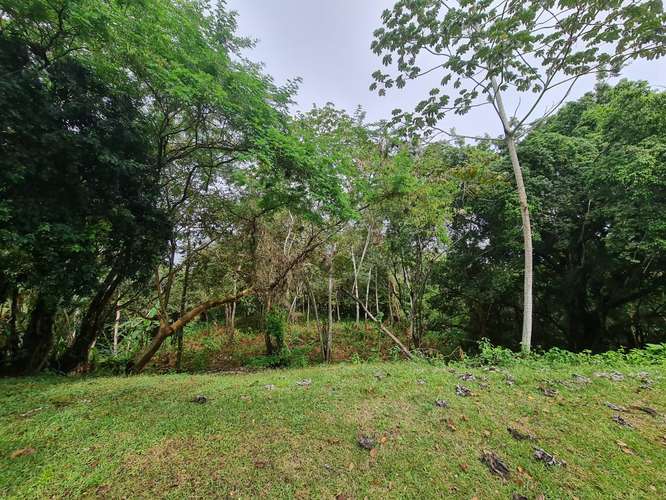 TERRENO EN LAS CUMBRES – IDEAL PARA INVERSIÓN O PROYECTO FAMILIAR - Imagen 14