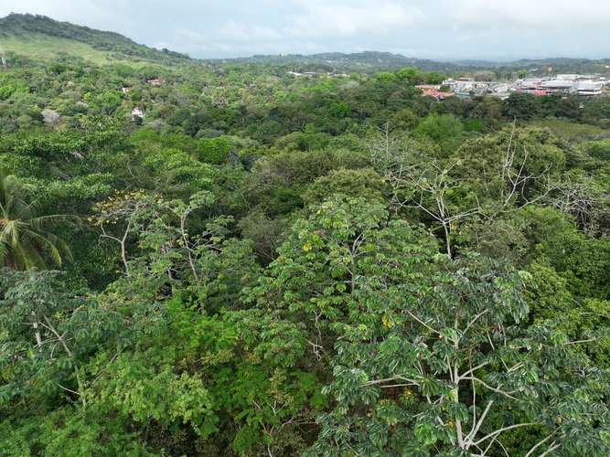 TERRENO EN LAS CUMBRES – IDEAL PARA INVERSIÓN O PROYECTO FAMILIAR - Imagen 20
