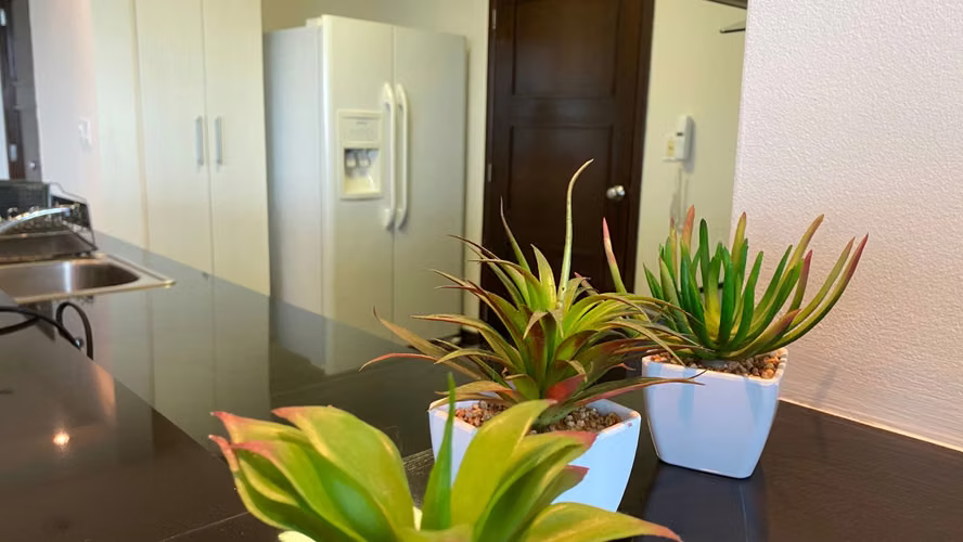 Apartamento amoblado en Alquiler vista al parque - Costa del Este - Imagen 15