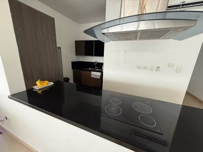 AVENIDA BALBOA - AMOBLADO - 141 M² - 1 RECAMARA - Vista al Mar - Imagen 10