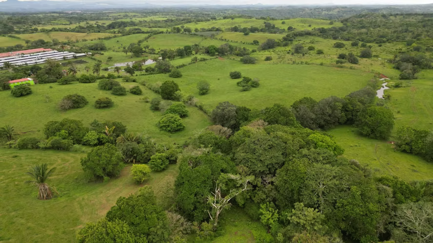 51 HECTÁREAS DE TERRENO! $3,571,715 - Imagen 20