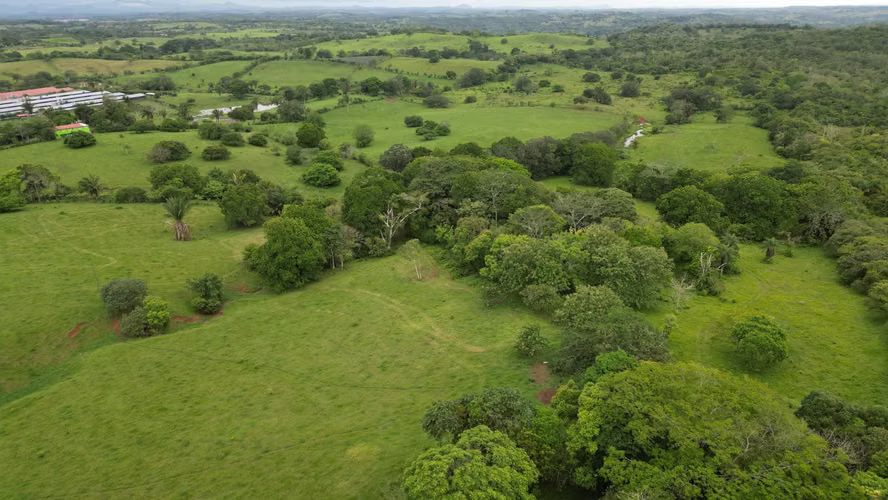 51 HECTÁREAS DE TERRENO! $3,571,715 - Imagen 13