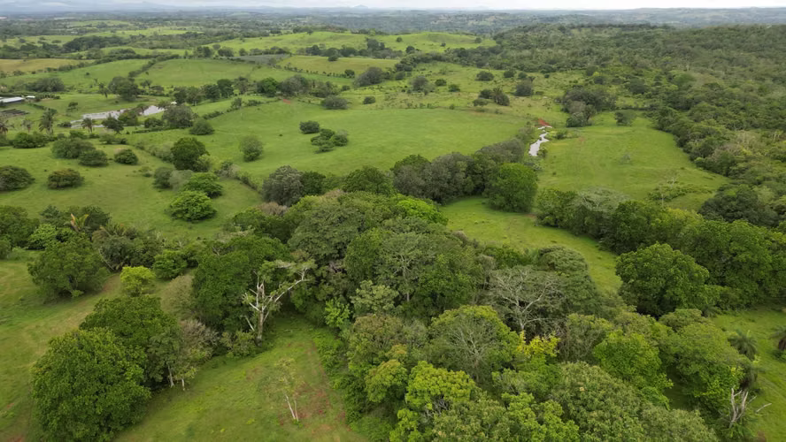 51 HECTÁREAS DE TERRENO! $3,571,715 - Imagen 16