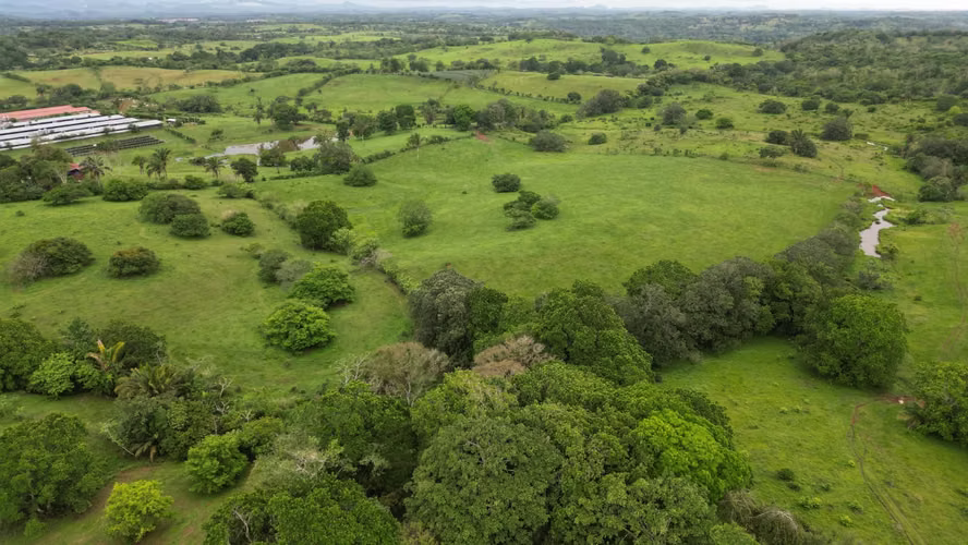 51 HECTÁREAS DE TERRENO! $3,571,715 - Imagen 19