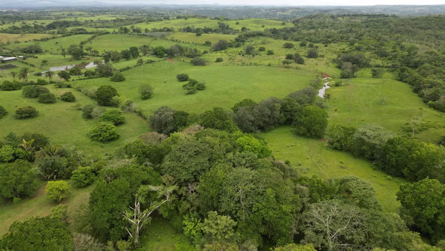 51 HECTÁREAS DE TERRENO! $3,571,715 - Imagen 17
