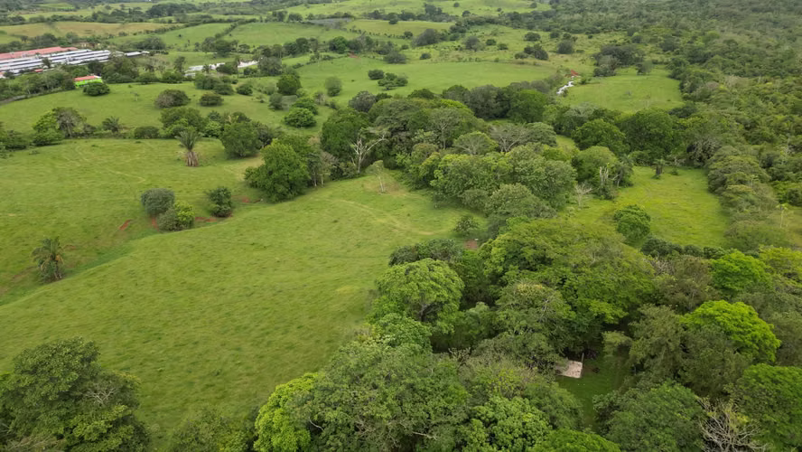 51 HECTÁREAS DE TERRENO! $3,571,715 - Imagen 11