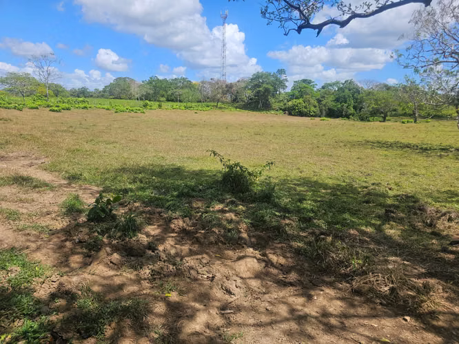 Terreno de 5,000 m² en Capira – Ideal para inversión o vivienda - Imagen 11