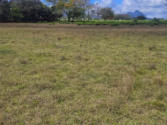 Terreno de 5,000 m² en Capira – Ideal para inversión o vivienda - Imagen 9