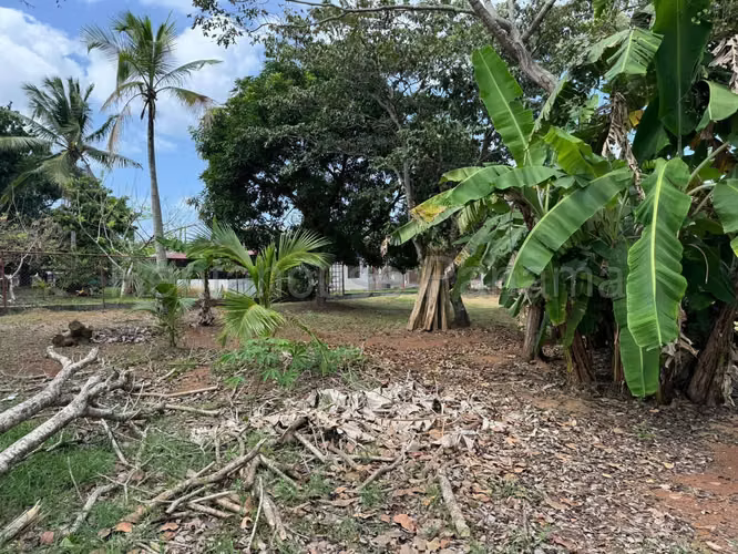 VENTA DE TERRENO EN CHORRERA DDB26-4487 - Imagen 8