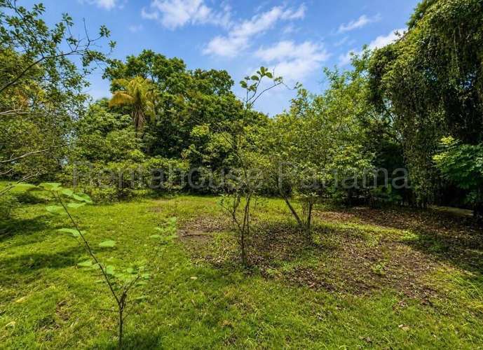 VENTA DE TERRENO EN COCLE DDB27-1339 - Imagen 4